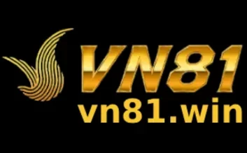 vn81-dummy